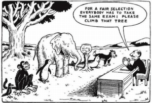 please climb that tree