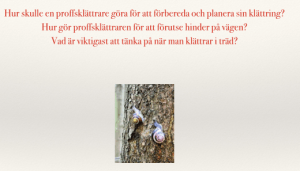 Skärmklipp 2015-04-19 21.30.06